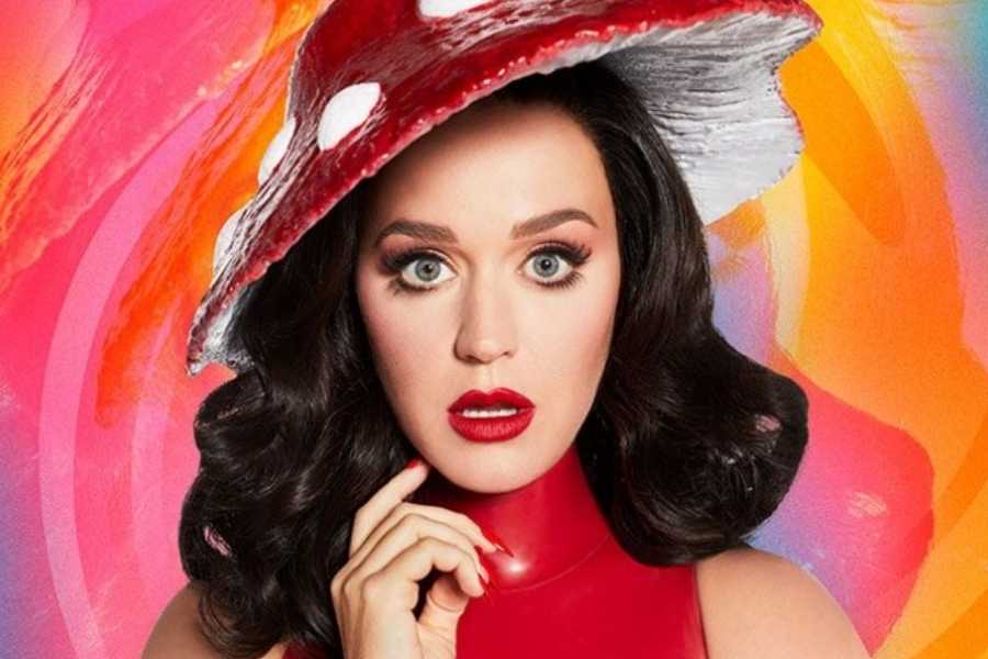 Lloc web oficial de Katy Perry en WP